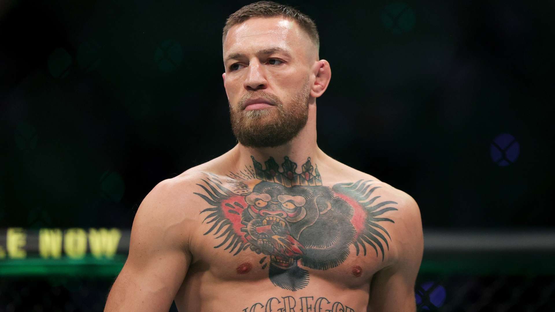 这场决赛的 这场决赛的